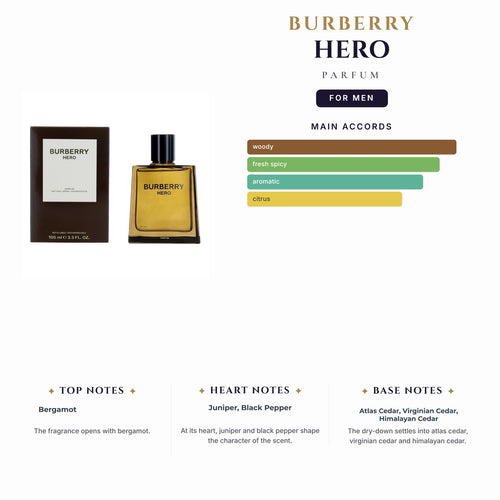 Burberry Hero 3.4oz Parfum Spray for Men