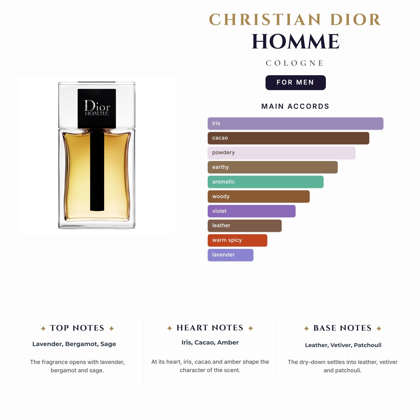 Cd Homme Cologne 6.7oz EDC Spray for Men