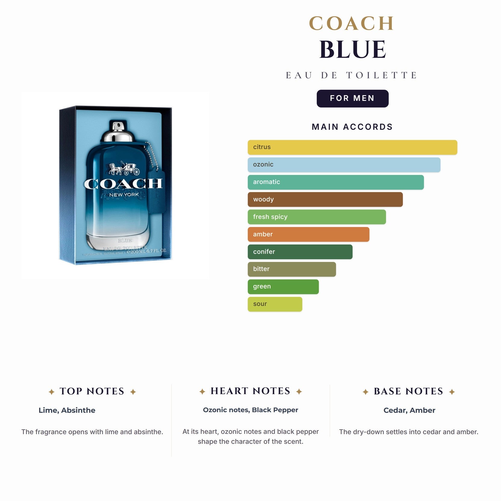 Coach Blue 6.7oz EDT Spray for Men