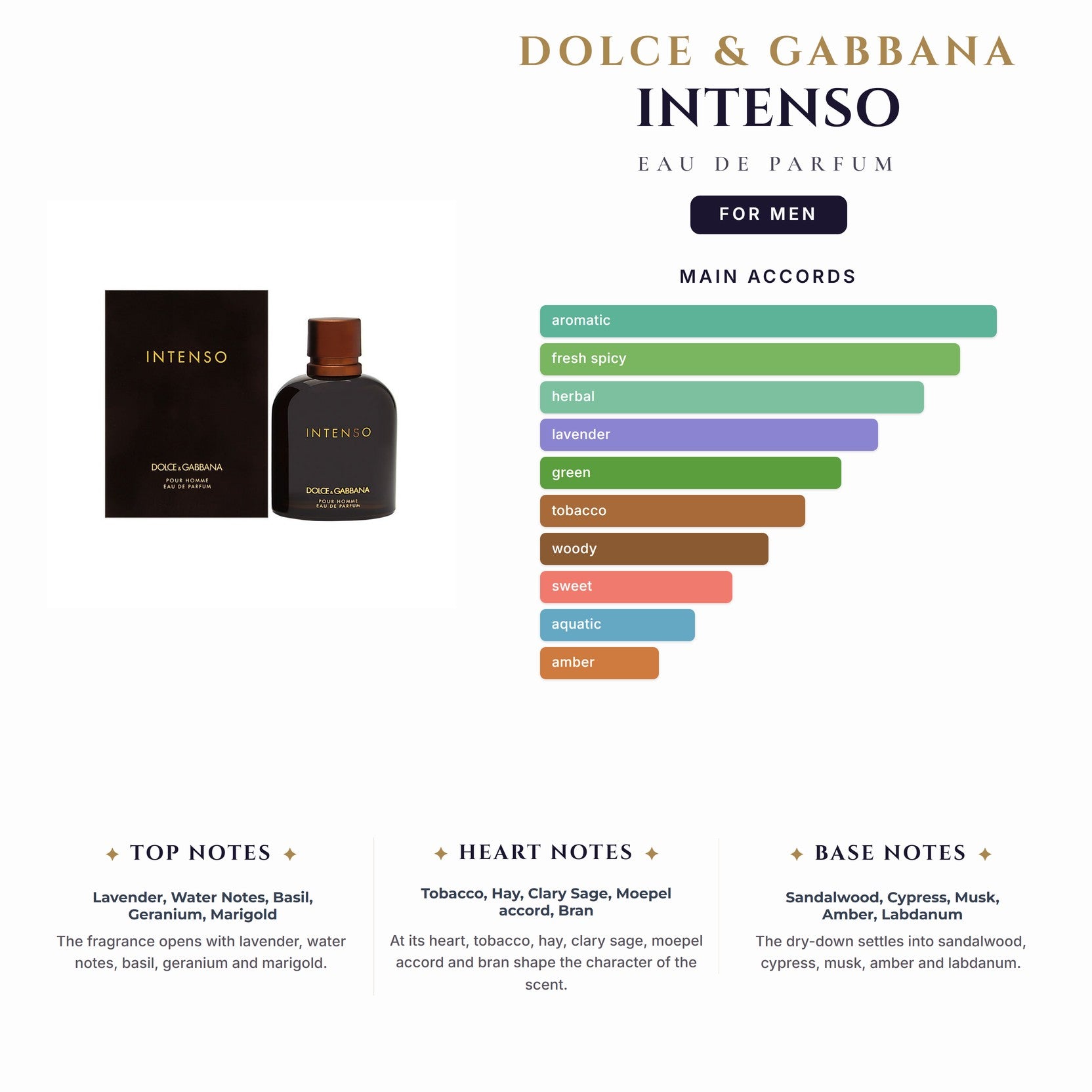 D&G Intenso 4.2oz EDP Spray for Men
