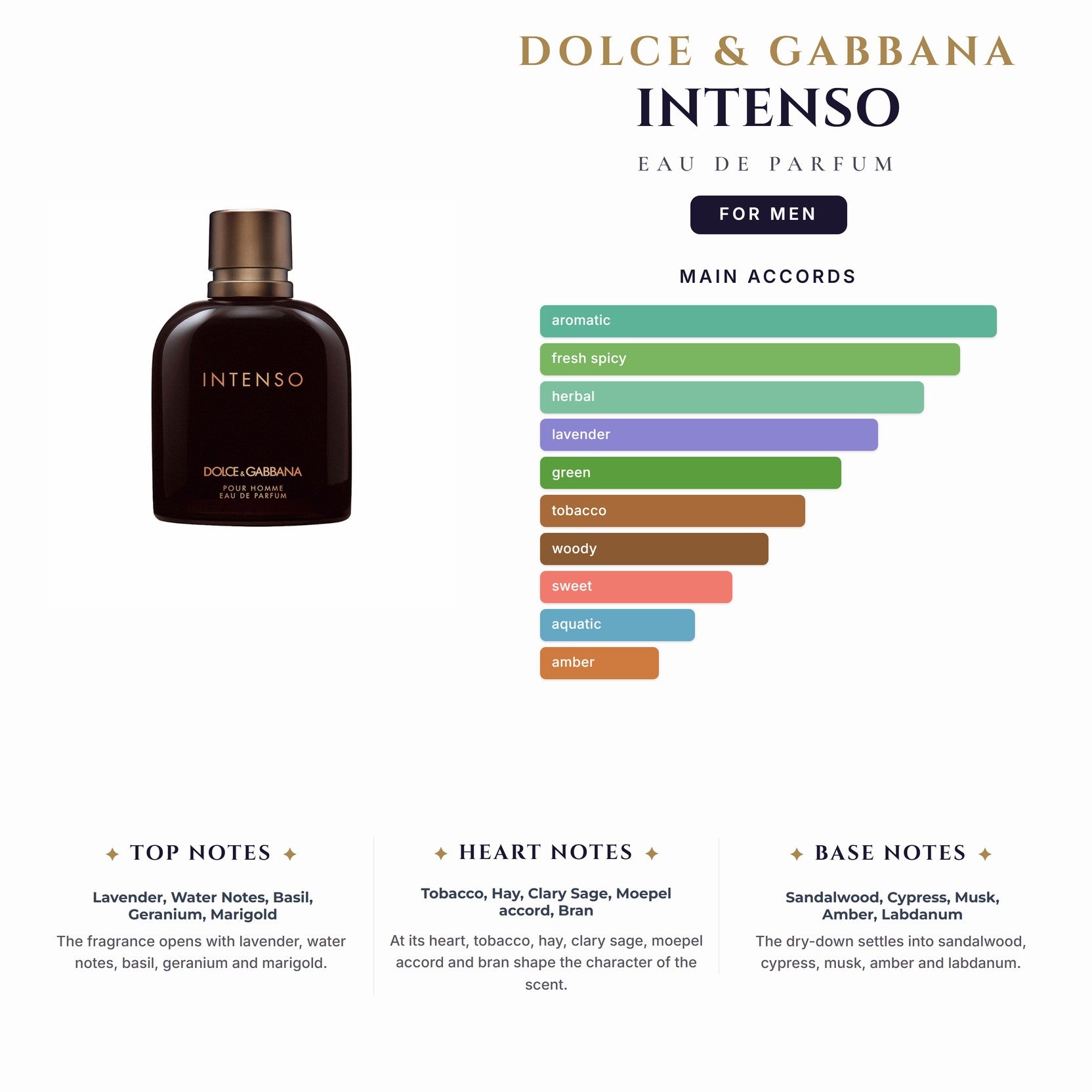 D&G Intenso 6.7oz EDP Spray for Men