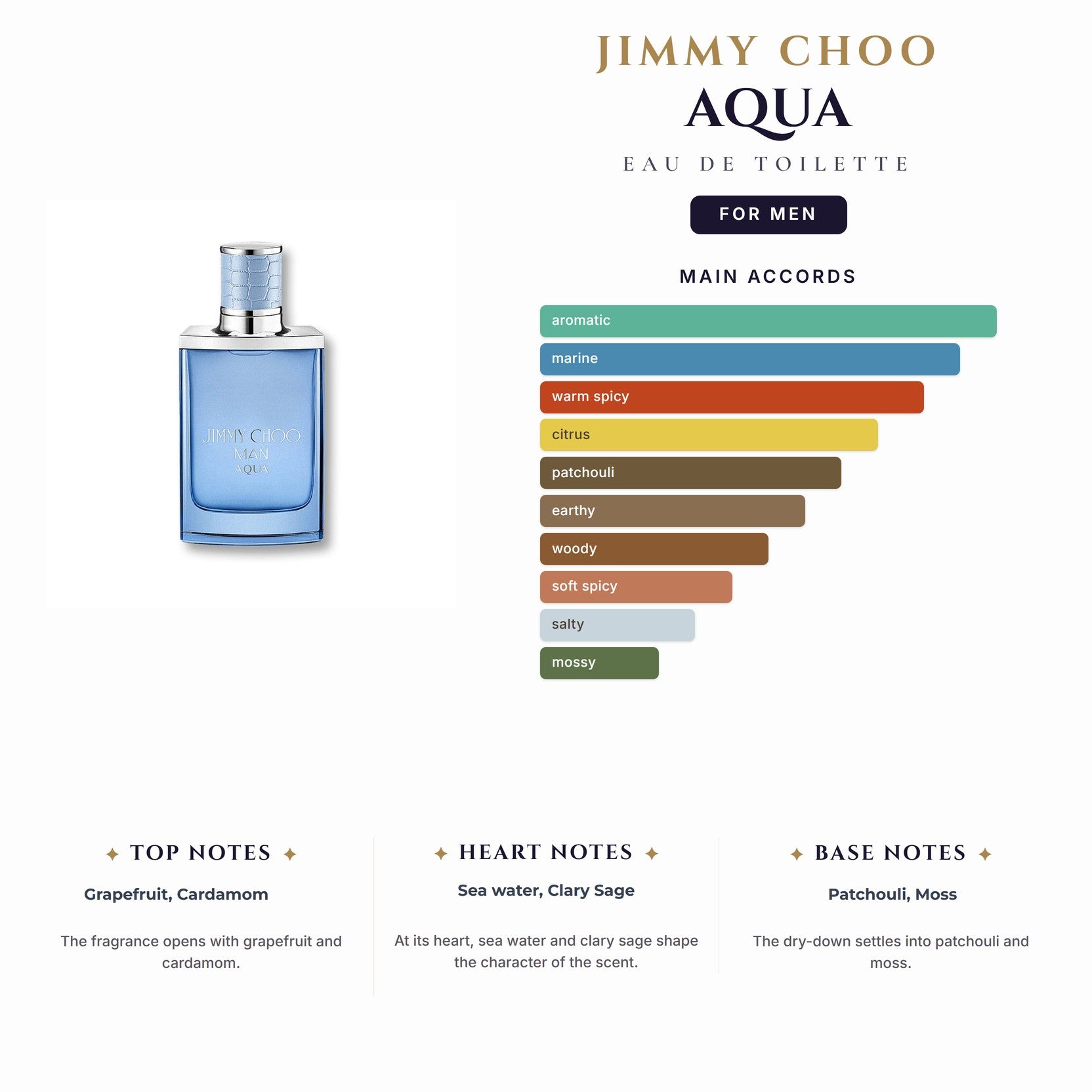 Jimmy Choo Aqua 3.4oz EDT Spray for Men