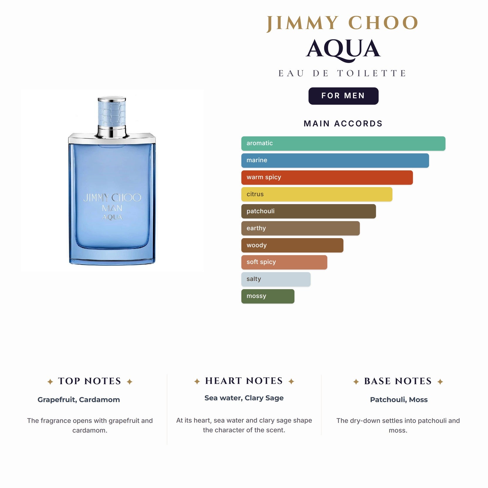 Jimmy Choo Aqua 6.7oz EDT Spray for Men