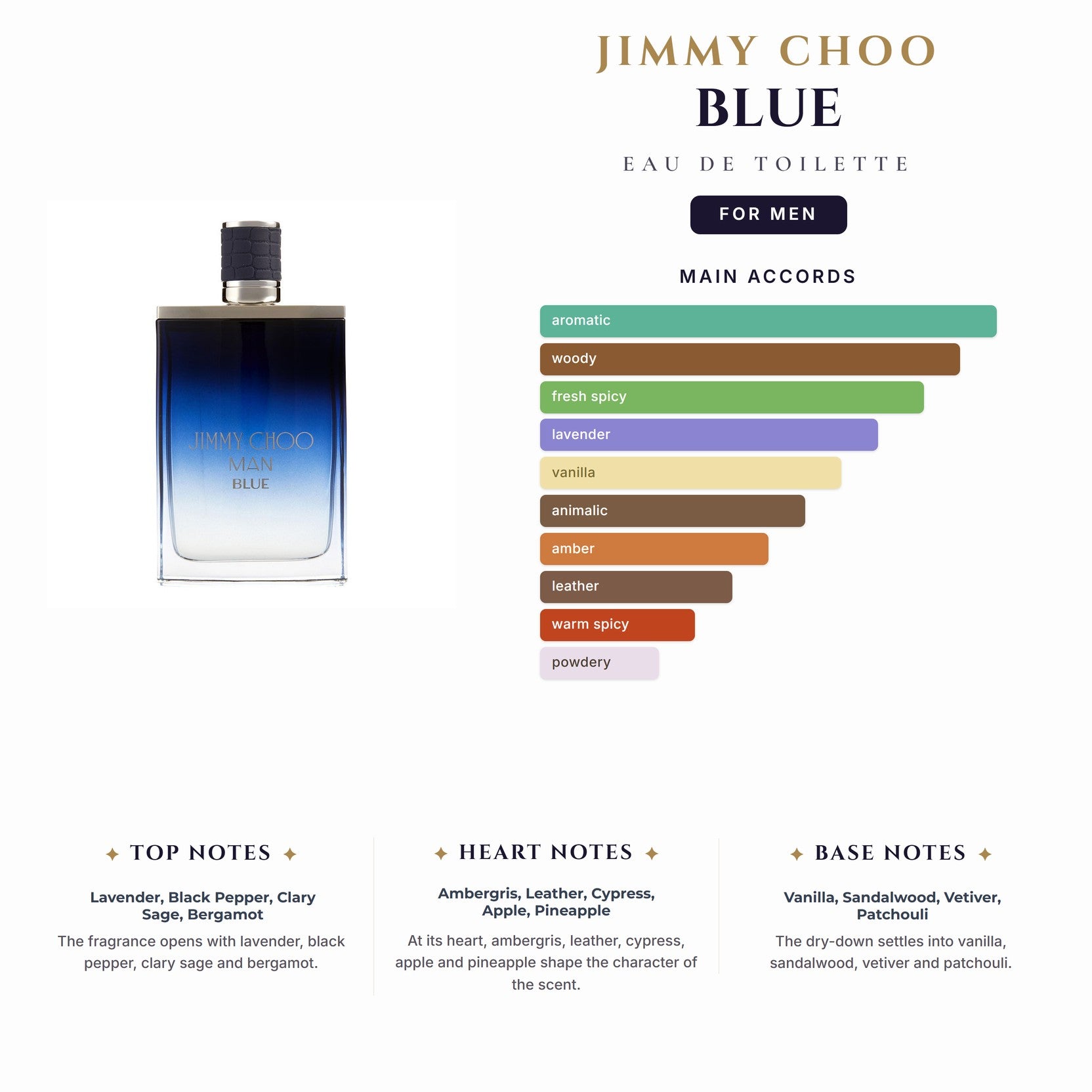 Jimmy Choo Blue 6.7oz EDT Spray for Men