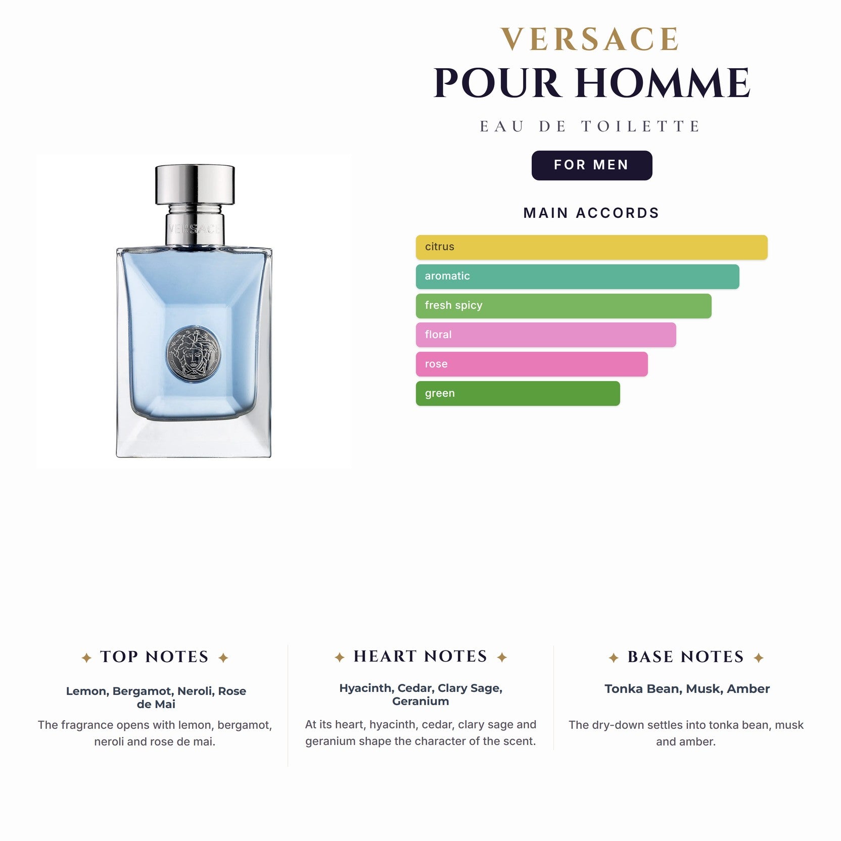 Versace Pour Homme 6.7oz EDT Spy for Men