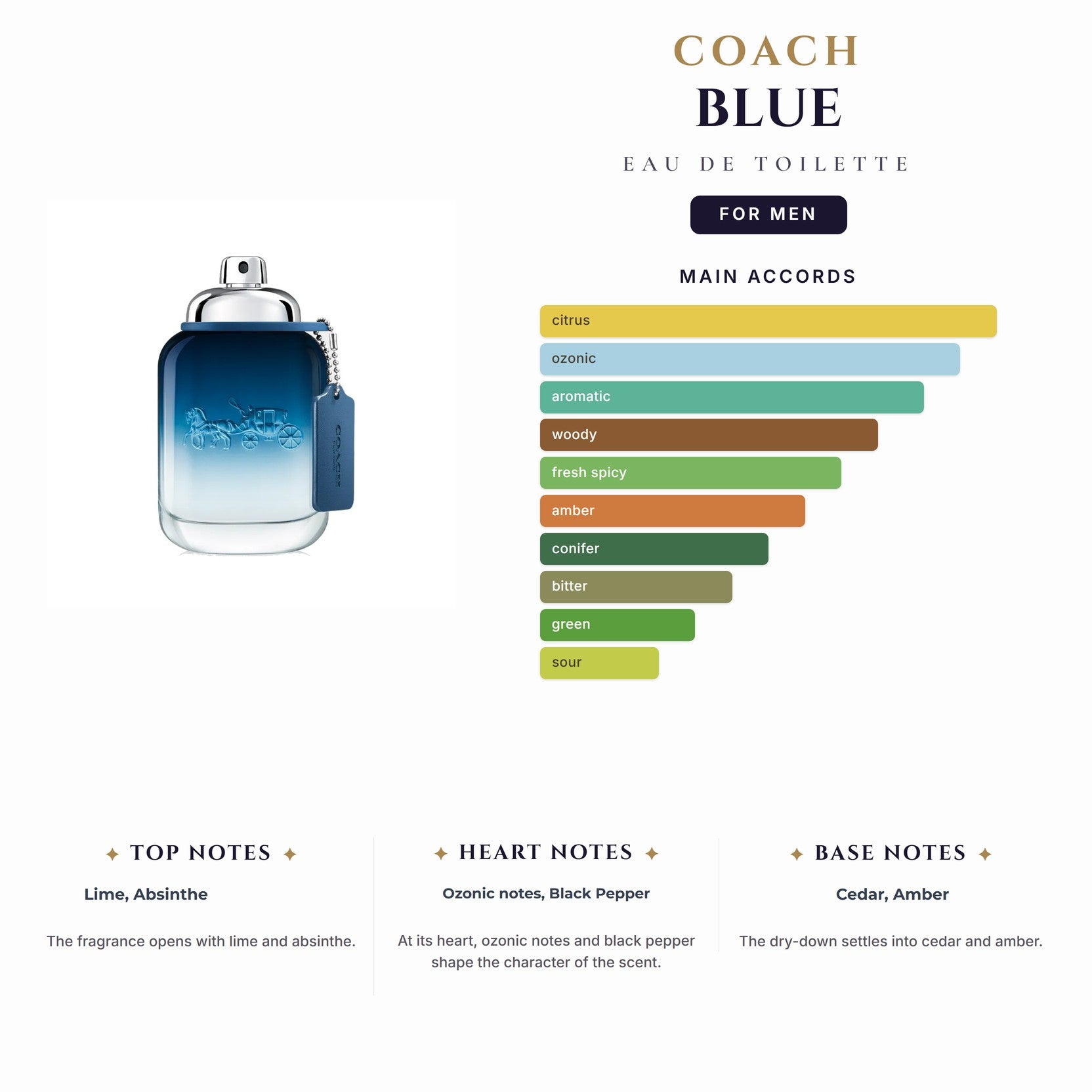 Tst Coach Blue 3.4oz EDT Spray for Men