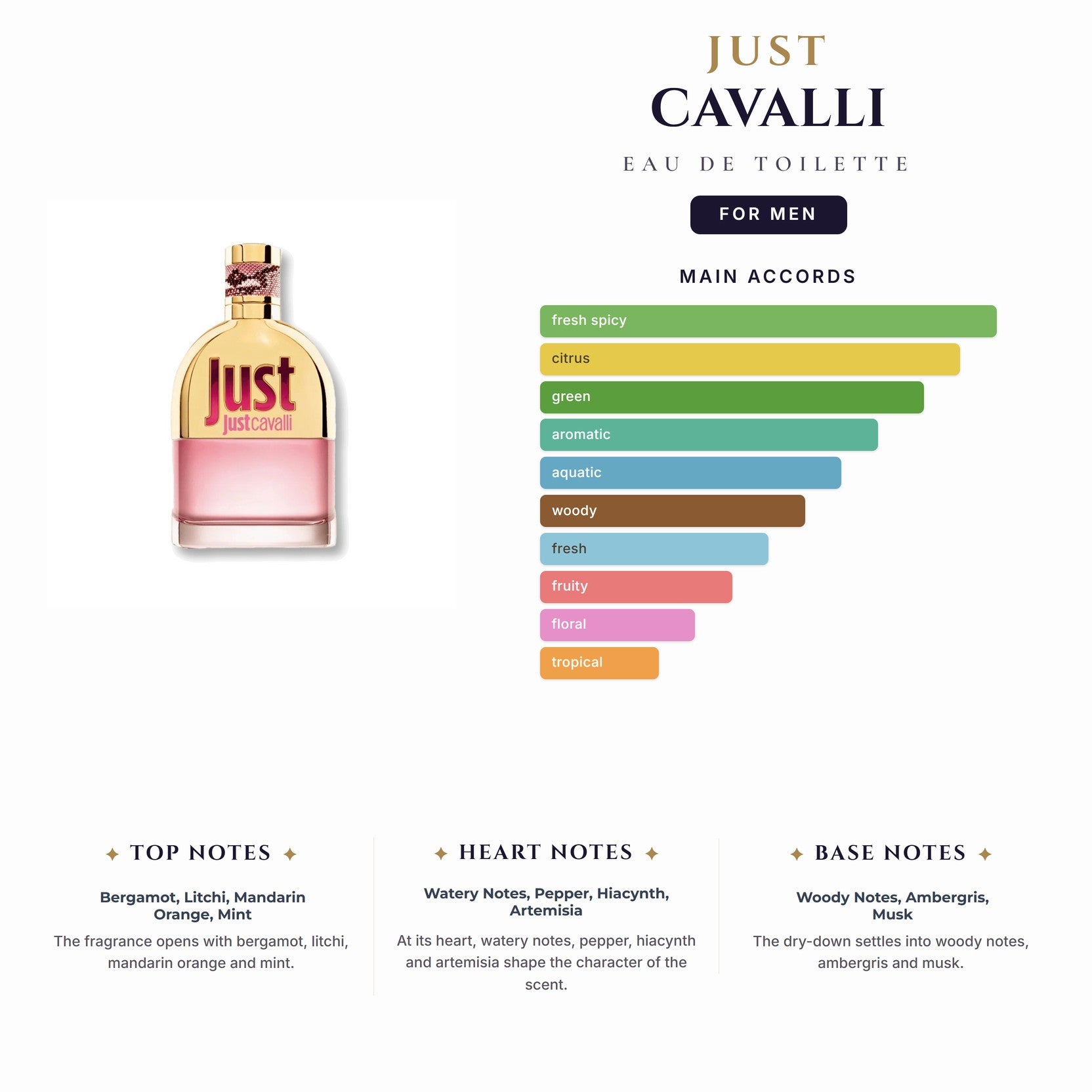 Tst Just Cavalli 3.oz EDT Spray (10 Left) for Men